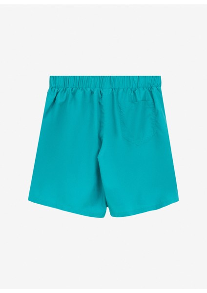 Yeşil Erkek Şort Mayo 241V3A4248 fiyatları