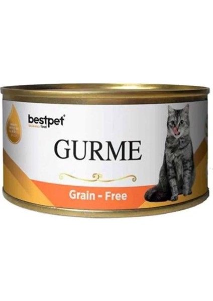 Best Pet Gurme Jöleli Somonlu Yetişkin Konserve Kedi Maması 100 gr