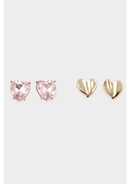 Kadın 2'li Kalpli Küpe E4036AXNS