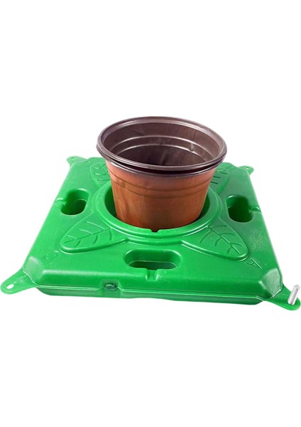 Ök Bitkileri Büyüme Sepeti (Yurt Dışından) modelleri