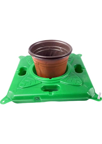 Ök Bitkileri Büyüme Sepeti (Yurt Dışından) fırsatları