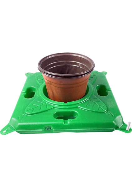 Ök Bitkileri Büyüme Sepeti (Yurt Dışından) indirimleri