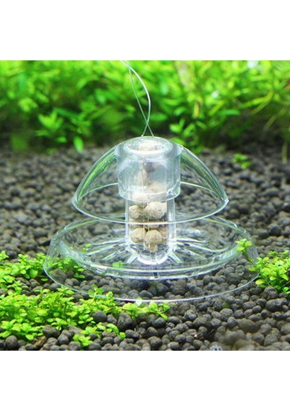 Beyaz Stil Akvaryum Balık Bitkileri Için Beyaz Şeffaf Salyangoz Tuzak ve Yem Planarya Sülük R2G4 Yakala (Yurt Dışından) indirimleri