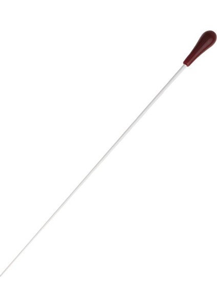 Müzik Şefi Baton Grubu Konseri Şefi Baton #2 (Yurt Dışından)