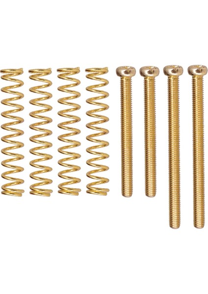 Elektrik Bas Üsü Kuyruk Parçası + Altın (Yurt Dışından)