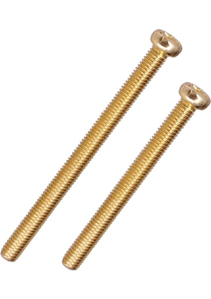 Elektrik Bas Üsü Kuyruk Parçası + Altın (Yurt Dışından) modelleri