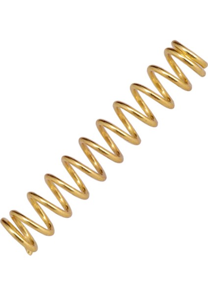 Elektrik Bas Üsü Kuyruk Parçası + Altın (Yurt Dışından) fırsatları