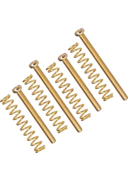 Elektrik Bas Üsü Kuyruk Parçası + Altın (Yurt Dışından) indirimleri