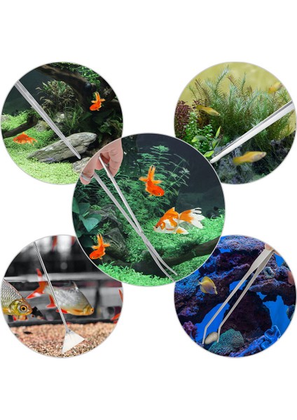 4 Adet Takım Seti Stili Akvaryum Bitki Araçları Seti Paslanmaz Çelik Akvaryum Tankı Aquascaping Aracı Için Dikiş Teli Veya Spatula Aracı (Yurt Dışından) fırsatları