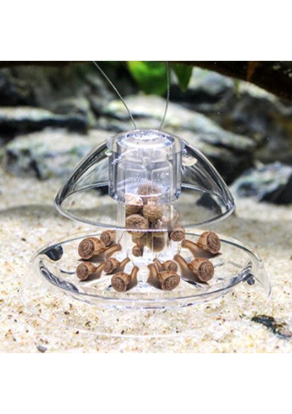 8cm Tarzı Beyaz Net Salyangoz Tuzak Yakalayıcı Bitkiler Planaryen Zararlı Plastik Yakalama Aracı Bitki Tankı Akvaryum Ortamı Temiz Sıcak Sülük Savaşçısı (Yurt Dışından) modelleri