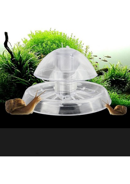 8cm Tarzı Beyaz Net Salyangoz Tuzak Yakalayıcı Bitkiler Planaryen Zararlı Plastik Yakalama Aracı Bitki Tankı Akvaryum Ortamı Temiz Sıcak Sülük Savaşçısı (Yurt Dışından) indirimleri