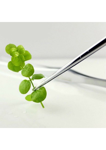 Kum Savurma Stili 1 Adet Akvaryum Paslanmaz Çelik Veya Cımbız Yosun Temizleme Kum Kazıma Bakım Aracı Su Bitkisi Tankı Akvaryum Aksesuarları (Yurt Dışından) modelleri