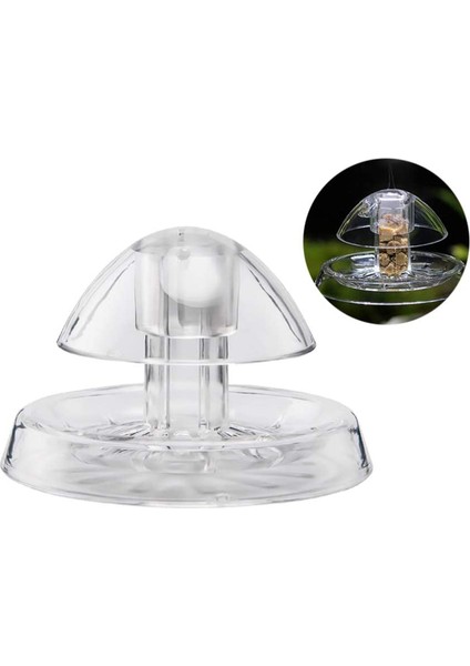 6cm Tarzı Beyaz Net Salyangoz Tuzak Yakalayıcı Bitkiler Planaryen Zararlı Plastik Yakalama Aracı Bitki Tankı Akvaryum Ortamı Temiz Sıcak Sülük Savaşçısı (Yurt Dışından) fiyatları