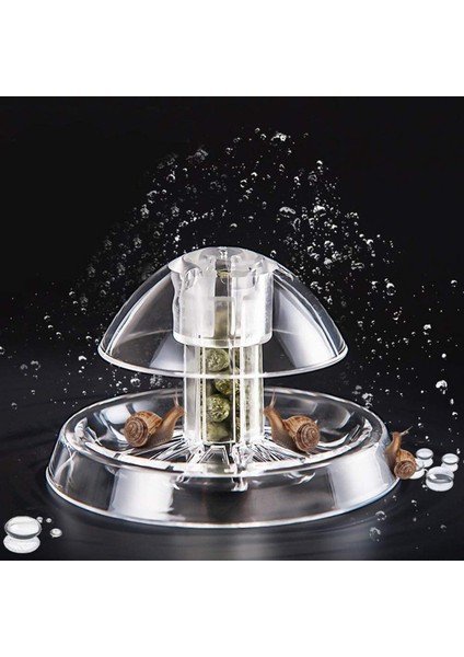 6cm Tarzı Beyaz Net Salyangoz Tuzak Yakalayıcı Bitkiler Planaryen Zararlı Plastik Yakalama Aracı Bitki Tankı Akvaryum Ortamı Temiz Sıcak Sülük Savaşçısı (Yurt Dışından) fırsatları