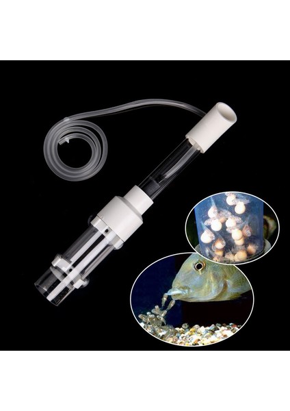 Beyaz Stil Bedensiz Akvaryum Cichlids Tumbler Kuluçka Makinesi Balık Yumurtası Ağzında Kuluçkalama N58C (Yurt Dışından) fiyatları