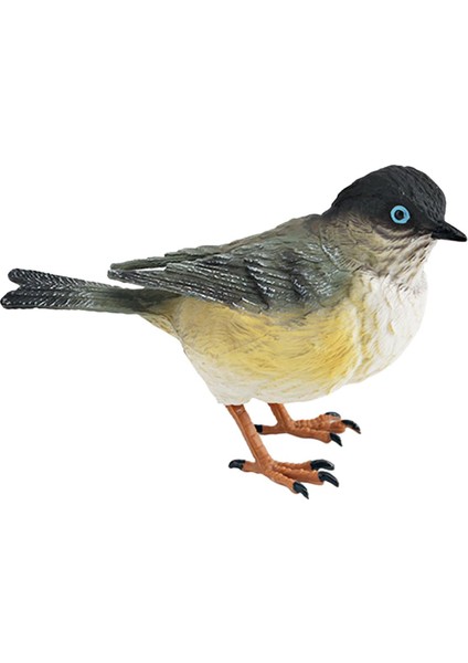 Kuş Figürleri Oyuncaklar Çocuklar Için Gerçekçi Eğ Heykeli (Yurt Dışından)