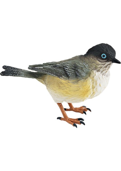 Kuş Figürleri Oyuncaklar Çocuklar Için Gerçekçi Eğ Heykeli (Yurt Dışından) fiyatları