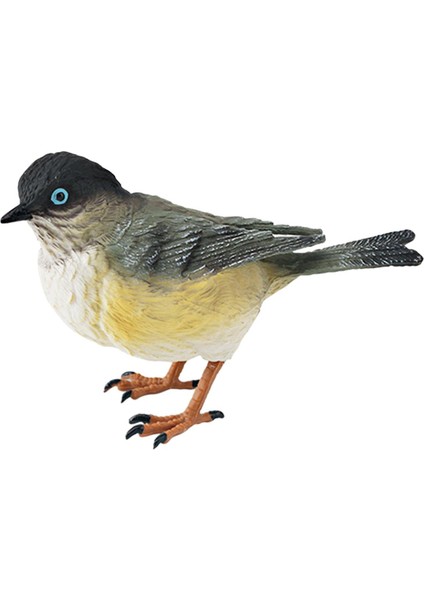 Kuş Figürleri Oyuncaklar Çocuklar Için Gerçekçi Eğ Heykeli (Yurt Dışından) modelleri