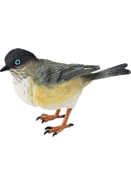 Kuş Figürleri Oyuncaklar Çocuklar Için Gerçekçi Eğ Heykeli (Yurt Dışından) fırsatları