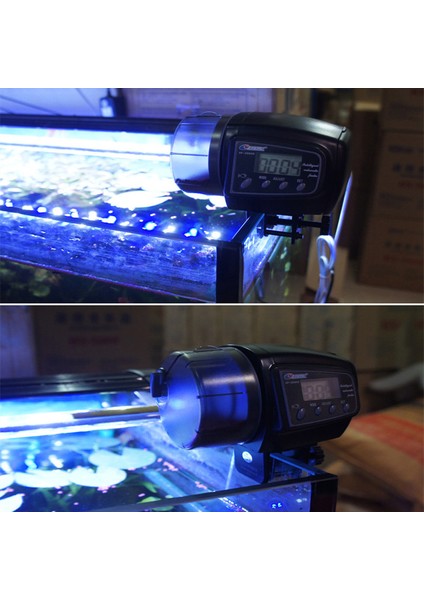 AF-2003 2 Stili Ayarla 1 Ünite Ayarlanabilir Otomatik Akvaryum Zamanlayıcı Otomatik Balık Tankı Havuzu Yiyecek Besleyici LCD ile Akvaryum Tankı Otomatik Balık Besleyici (Yurt Dışından) fiyatları