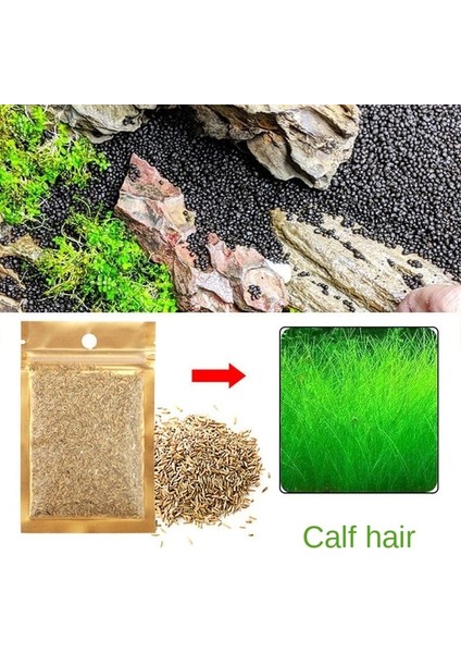 Sarı Stil 2 Paket Akvaryum Dekorasyon Aksesuarları Balık Tankı Bitkileri Basit Işlem ve Güzel Su Arıtma (Yurt Dışından)
