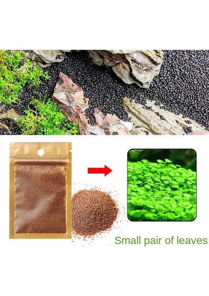 Açık Yeşil Tarzı 1 Paket Akvaryum Dekorasyon Aksesuarları Balık Tankı Bitkileri Basit Işlem ve Güzel Su Arıtma (Yurt Dışından)