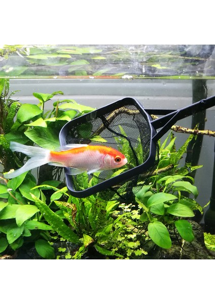 1 Adet M Boyut Stili Siyah Renk Akvaryum Brezilya Ağ Balık Ağı Kaşık Ağı 3 Boyut Kare Karides Küçük Tetra Balık Tankı Ağı Yüksek Akvaryum Su Değiştirici (Yurt Dışından) modelleri