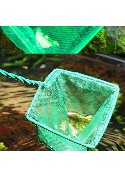 D Stili 1 Adet Yeşil Akvaryum Balık Tankı Kare Karides Küçük Beta Balık Ağı 3-10 6 Boyut (Yurt Dışından) modelleri