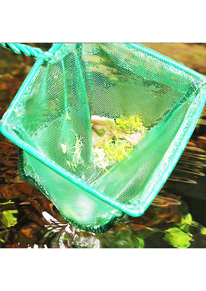 D Stili 1 Adet Yeşil Akvaryum Balık Tankı Kare Karides Küçük Beta Balık Ağı 3-10 6 Boyut (Yurt Dışından) fırsatları