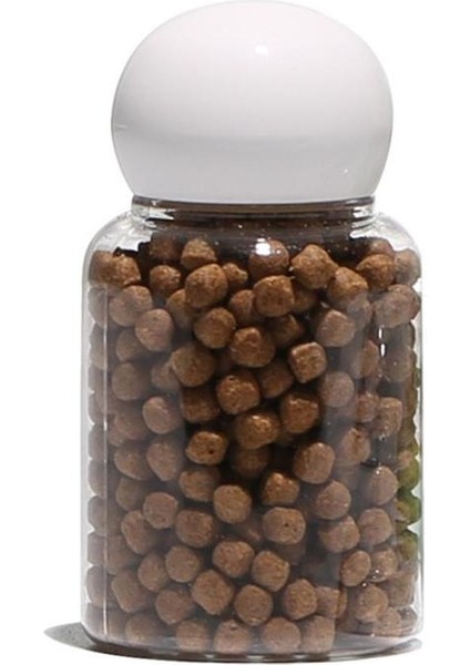 Beyaz Stil Beyaz Şeffaf Salyangoz Tuzak Yakalayıcı Bitki Planaryen Zararlı Plastik Yakalama Aracı Bitki Tank Kutu Akvaryum Çevre Temiz Sıcak Sülük U1M9 (Yurt Dışından) modelleri