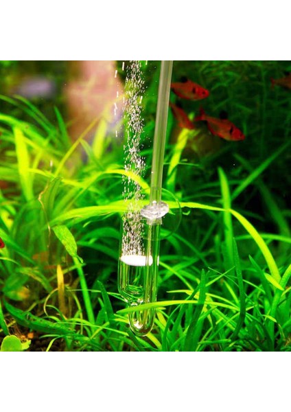 B Tarzı Akvaryum Bitkili Tank Co2 Jeneratör Silindir Için Cam Co2 Difüzör Balon Sayacı Akvaryum Aksesuarları F9X6 (Yurt Dışından) fırsatları