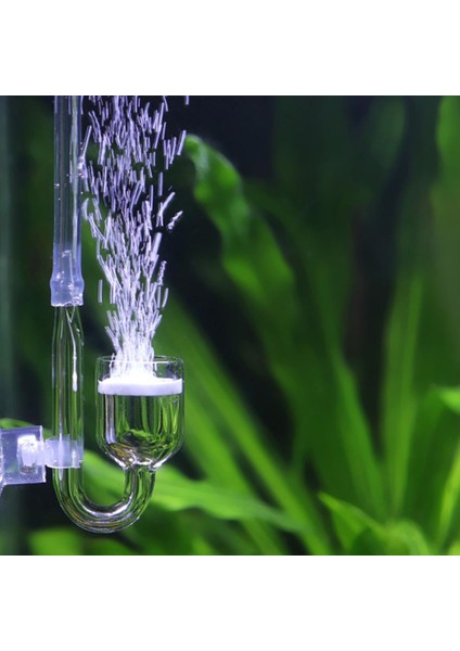 B Tarzı Akvaryum Bitkili Tank Co2 Jeneratör Silindir Için Cam Co2 Difüzör Balon Sayacı Akvaryum Aksesuarları F9X6 (Yurt Dışından) indirimleri