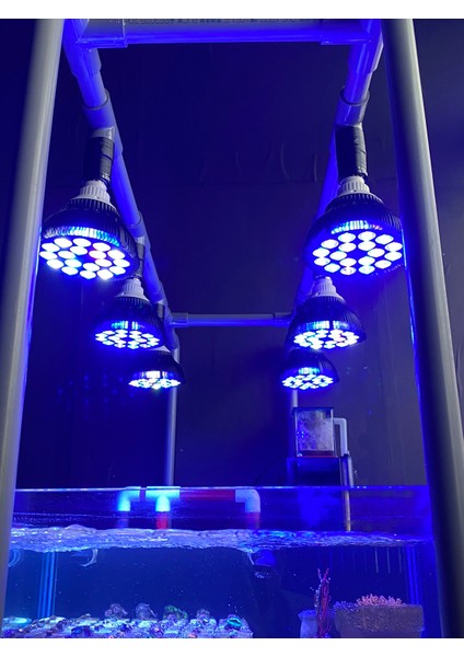 E27 Duy Stili Tam Spektrum LED Akvaryum Işığı PAR38 Büyüme Lambası Mercan Resif Balık Tuzlu Su Nano Tank Bitki Büyüme Yeri (Yurt Dışından) fiyatları