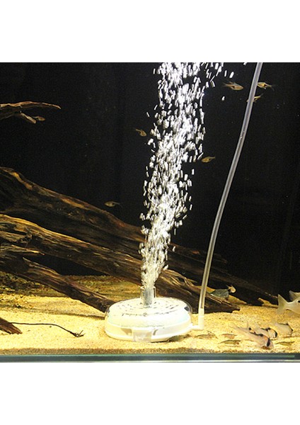 35MM Tarzının Altındaki Balık Tankı Lechong Balık Tankı Kabarcık Taşı Disk Co2 Difüzörü Mini Filtre Mini Aeratör Hava Pompası ile Akvaryum Oksijen Pompası Aksesuarları (Yurt Dışından) fiyatları