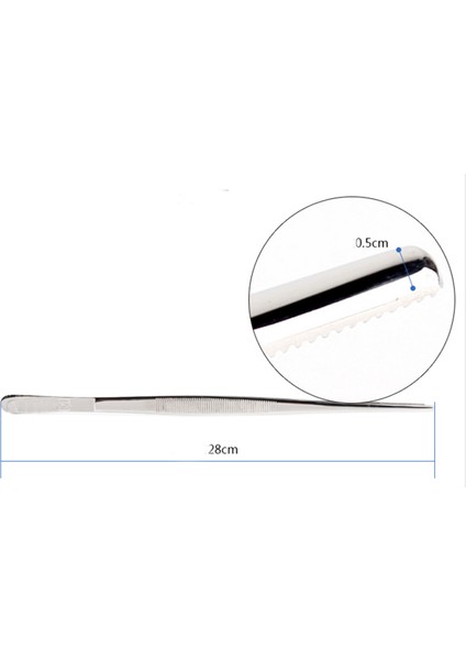 Düz Stil Vıv Su Ürünleri Paslanmaz Çelik Bitki Cımbızı Düz Eğri Asla Paslanmaz Ada ile Aynı (Yurt Dışından)