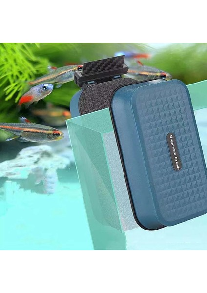 Fiber Bıçak S Tarzı Balık Tankı Güçlü Manyetik Temizlik Fırçası Çift Taraflı Temizlik Cam Fırçası Yosun Kazıyıcı Temizleyici Akvaryum Aksesuarı (Yurt Dışından) fiyatları