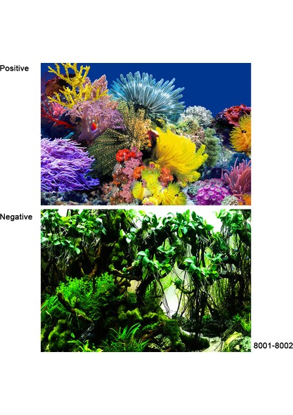 8001-8002 Stili 30X50CM 3D Sticker Poster Akvaryum Dekorasyon Arka Plan Boyama Balık Tankı Süsü Su Manzarası Okyanus Deniz Bitkileri Arka Plan Aksesuarları (Yurt Dışından)