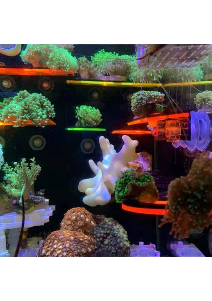 Kırmızı Stil Akvaryum Balık Tankı Floresans Mercan Parça Askı Rafı Tutucu Plastik ile Fişler Emici Kupa Montaj Su Bitkisi Aksesuarları (Yurt Dışından)