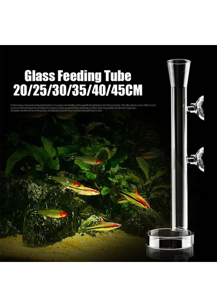 35CM Tarzı Borosilikat Cam Karides Yemleme Tüpü Akvaryum Karides Yemleme Tabak Yem Tepsisi Balık Tankı Akvaryum Aksesuarları ile Kase (Yurt Dışından) modelleri