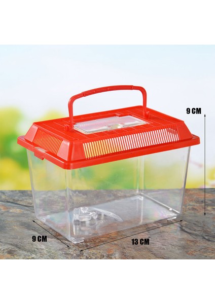 Resim Stili Olarak Taşınabilir El Tipi Plastik Balık Tankı Şeffaf Kesik Tasarım Kaplumbağa Evcil Balık ve Akvaryum Aksesuarları (Yurt Dışından)