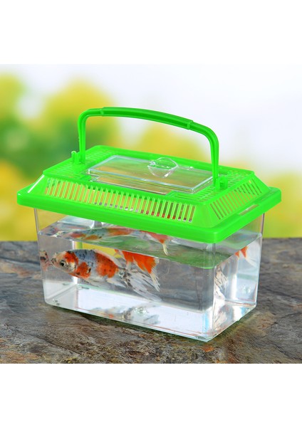 Resim Stili Olarak Taşınabilir El Tipi Plastik Balık Tankı Şeffaf Kesik Tasarım Kaplumbağa Evcil Balık ve Akvaryum Aksesuarları (Yurt Dışından) fırsatları