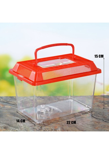 Resim Stili Olarak Taşınabilir El Tipi Plastik Balık Tankı Şeffaf Kesik Tasarım Kaplumbağa Evcil Balık ve Akvaryum Aksesuarları (Yurt Dışından) indirimleri