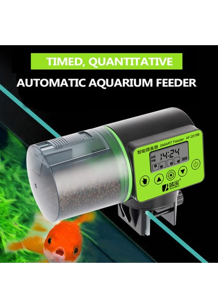 Daire Stili ile 2019B Ayarlanabilir Akıllı Otomatik Akvaryum Zamanlayıcı Otomatik Balık Tankı Gölet Yem Dengesi ile LCD Akvaryum Tankı Otomatik Balık Derisi (Yurt Dışından) indirimleri