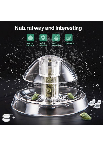 6cm Tarzı Akvaryum Balık Bitkili Şeffaf Tank Salyangoz Tuzak Yakalayıcı Bitkiler Planaria Zararlı Yakalayıcı Sülük Kutusu Çevre Temizleme Aracı cm (Yurt Dışından) fiyatları