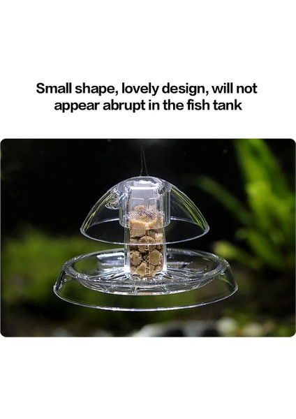 6cm Tarzı Akvaryum Balık Bitkili Şeffaf Tank Salyangoz Tuzak Yakalayıcı Bitkiler Planaria Zararlı Yakalayıcı Sülük Kutusu Çevre Temizleme Aracı cm (Yurt Dışından) modelleri