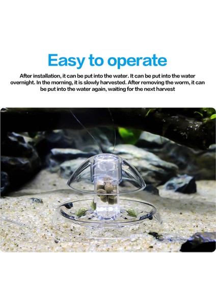 6cm Tarzı Akvaryum Balık Bitkili Şeffaf Tank Salyangoz Tuzak Yakalayıcı Bitkiler Planaria Zararlı Yakalayıcı Sülük Kutusu Çevre Temizleme Aracı cm (Yurt Dışından) fırsatları