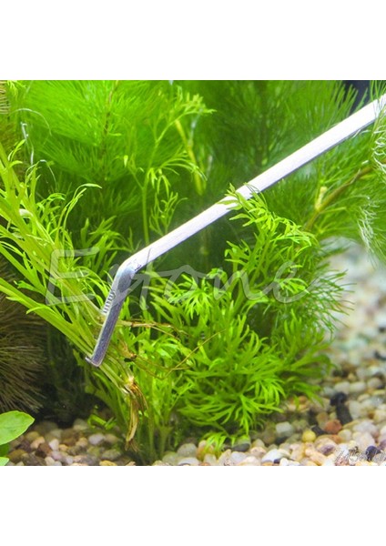 Dirsek Stili 30CM 30 cm Balık Tankı Maşası Akvaryum Paslanmaz Çelik Canlı Bitki Tankı Cımbızı G03 Dro (Yurt Dışından) fırsatları