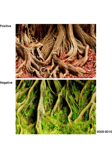 8009-8010 Stili 50X80CM 3D Sticker Poster Akvaryum Dekorasyon Arka Plan Boyama Balık Tankı Süsü Su Manzarası Okyanus Deniz Bitkileri Arka Plan Aksesuarları (Yurt Dışından)