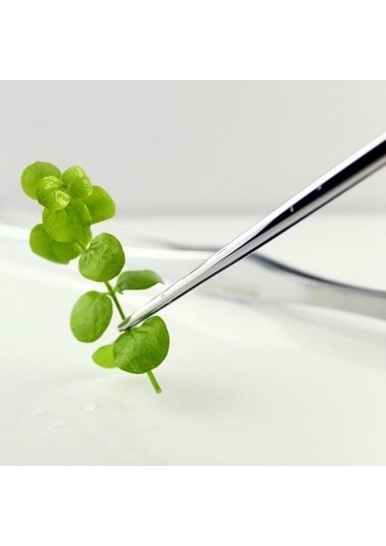 No.2 Tarzı Paslanmaz Çelik Akvaryum Canlı Bitki Balık Tankı Araçları (Yurt Dışından) modelleri