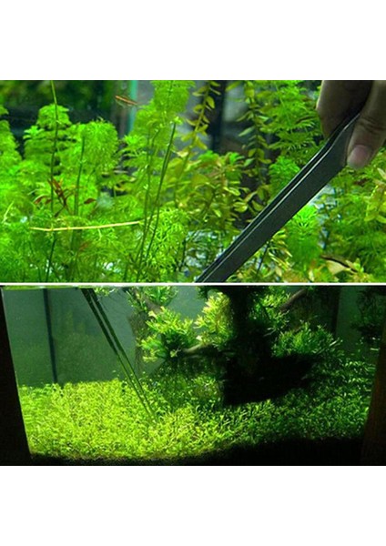 2 Adet-A ve B Tarzı 27CM Paslanmaz Çelik Akvaryum Cımbız Pense Balık Tankı Bitki Aquascape Araçları Düz Eğri Kuvvetps Kelepçesi Su Ürünleri Dalgıç Kavanoz Araçları (Yurt Dışından) fiyatları